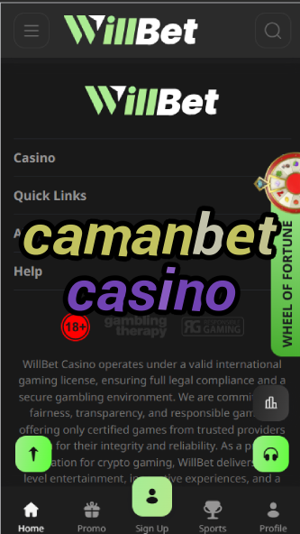 Camanbet Casino - Turkish Online Casino-casinoorder.vip